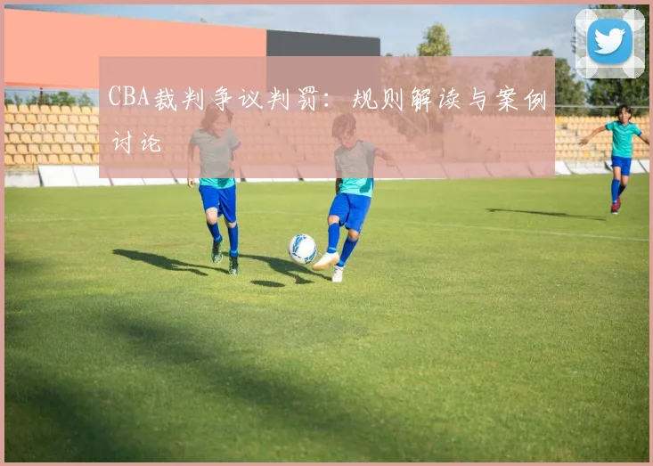CBA裁判争议判罚：规则解读与案例讨论